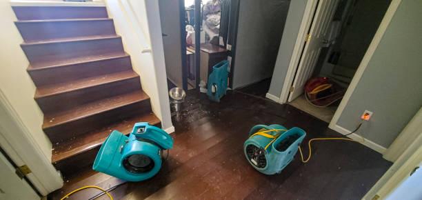 Best Water damage restoration near me  in Placitas, NM