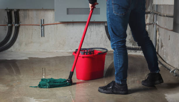 Best Water damage contractors near me  in Placitas, NM