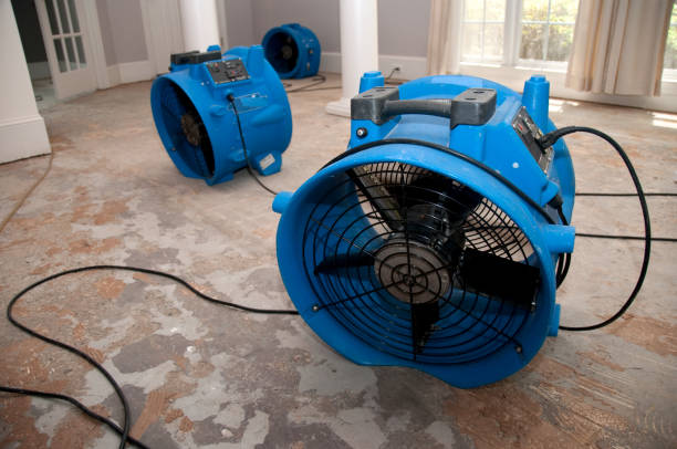 Best Commercial water damage restoration  in Placitas, NM