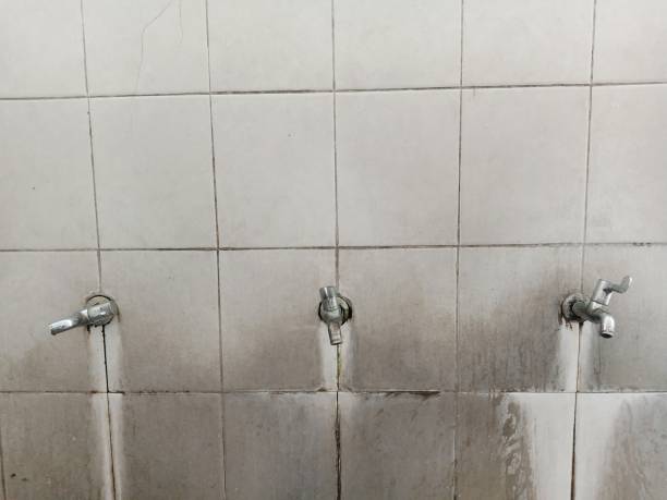 Best Water damage restoration services  in Placitas, NM