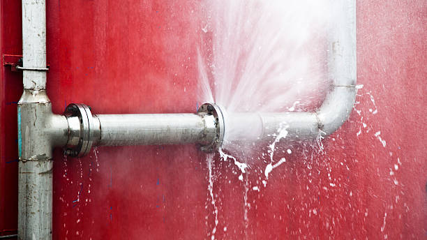 Best Ceiling water damage repair  in Placitas, NM